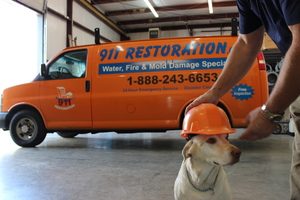 Water Damage Restoration Team