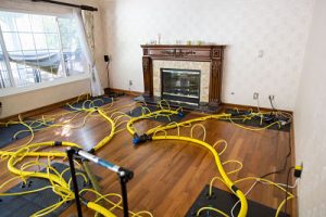 Drying Out A Home During A Mold Removal Job