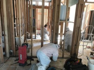 mold remediation workers
